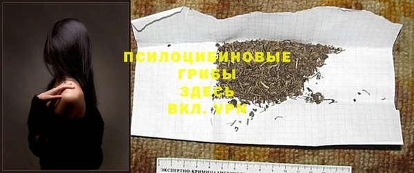 MDMA Краснослободск